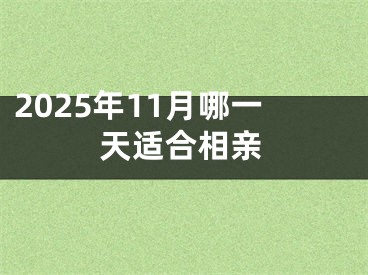 2025年11月哪一天适合相亲