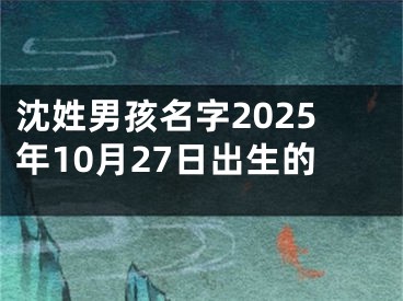 沈姓男孩名字2025年10月27日出生的