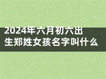 2024年六月初六出生郑姓女孩名字叫什么