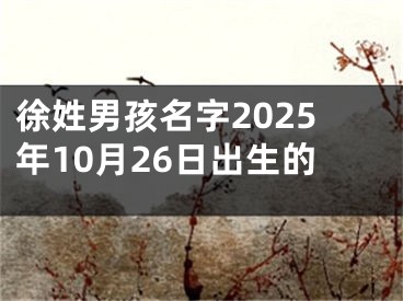 徐姓男孩名字2025年10月26日出生的
