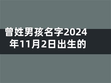 曾姓男孩名字2024年11月2日出生的