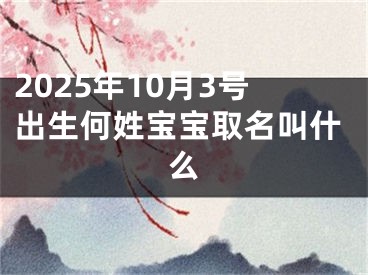 2025年10月3号出生何姓宝宝取名叫什么