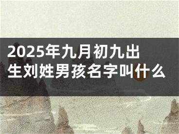 2025年九月初九出生刘姓男孩名字叫什么