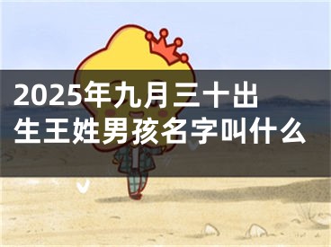 2025年九月三十出生王姓男孩名字叫什么