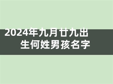 2024年九月廿九出生何姓男孩名字