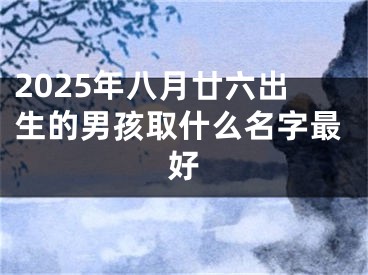 2025年八月廿六出生的男孩取什么名字最好