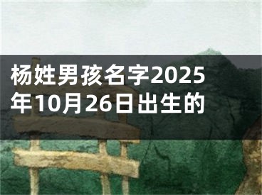杨姓男孩名字2025年10月26日出生的