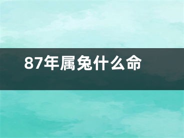 87年属兔什么命