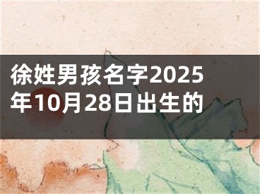 徐姓男孩名字2025年10月28日出生的