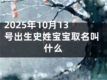 2025年10月13号出生史姓宝宝取名叫什么