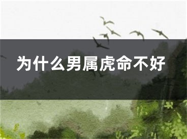 为什么男属虎命不好