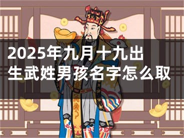 2025年九月十九出生武姓男孩名字怎么取