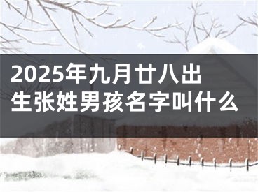 2025年九月廿八出生张姓男孩名字叫什么