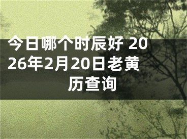 今日哪个时辰好 2026年2月20日老黄历查询