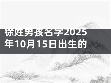 徐姓男孩名字2025年10月15日出生的