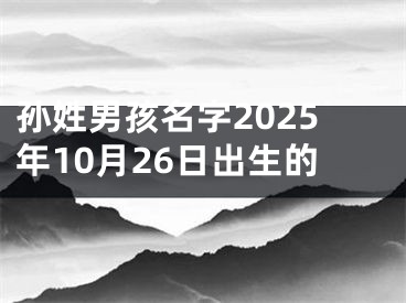 孙姓男孩名字2025年10月26日出生的