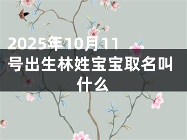 2025年10月11号出生林姓宝宝取名叫什么