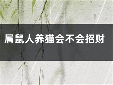 属鼠人养猫会不会招财