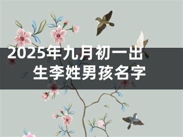 2025年九月初一出生李姓男孩名字