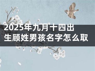 2025年九月十四出生顾姓男孩名字怎么取