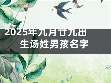 2025年九月廿九出生汤姓男孩名字