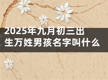 2025年九月初三出生万姓男孩名字叫什么