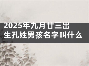 2025年九月廿三出生孔姓男孩名字叫什么