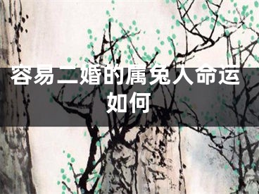 容易二婚的属兔人命运如何