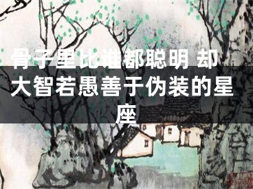 骨子里比谁都聪明 却大智若愚善于伪装的星座