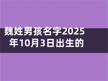 魏姓男孩名字2025年10月3日出生的