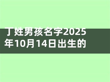 丁姓男孩名字2025年10月14日出生的