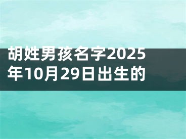 胡姓男孩名字2025年10月29日出生的