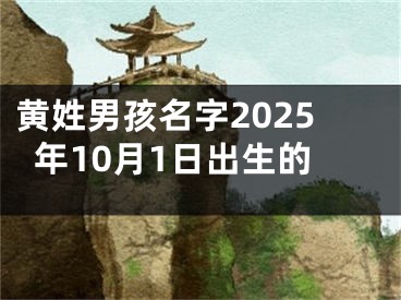 黄姓男孩名字2025年10月1日出生的