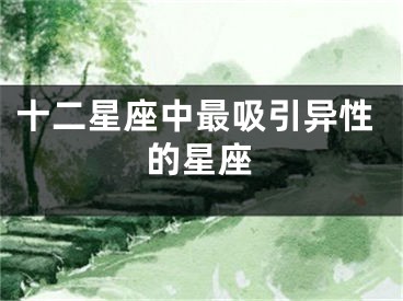 十二星座中最吸引异性的星座