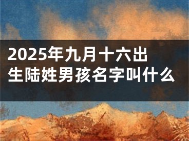 2025年九月十六出生陆姓男孩名字叫什么