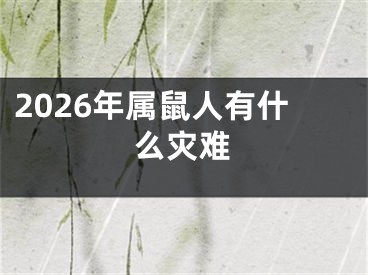 2026年属鼠人有什么灾难