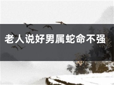老人说好男属蛇命不强