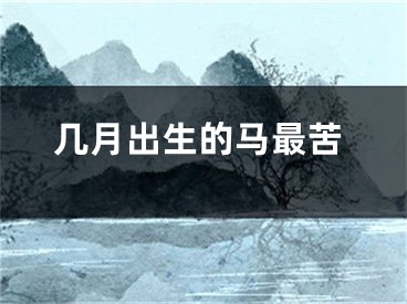 几月出生的马最苦