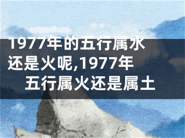 1977年的五行属水还是火呢,1977年五行属火还是属土