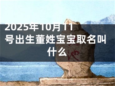 2025年10月11号出生董姓宝宝取名叫什么