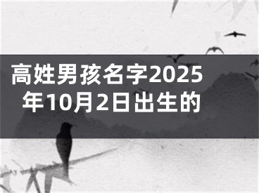 高姓男孩名字2025年10月2日出生的
