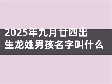 2025年九月廿四出生龙姓男孩名字叫什么