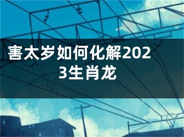 害太岁如何化解2023生肖龙
