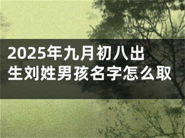 2025年九月初八出生刘姓男孩名字怎么取