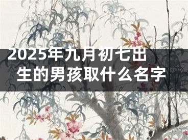 2025年九月初七出生的男孩取什么名字