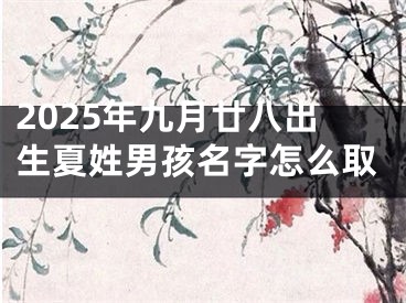 2025年九月廿八出生夏姓男孩名字怎么取