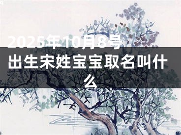 2025年10月8号出生宋姓宝宝取名叫什么
