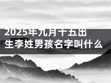 2025年九月十五出生李姓男孩名字叫什么