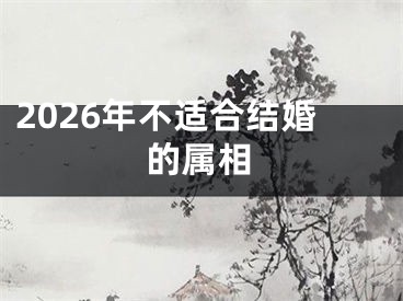 2026年不适合结婚的属相