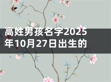 高姓男孩名字2025年10月27日出生的